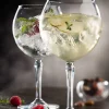 Hudson Cocktail Glasses used to serve Gin and Tonic