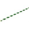 Paper Green Stripe Straw 8" (20cm)