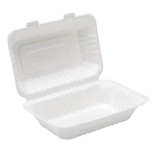 Disposable Takeaway Packaging