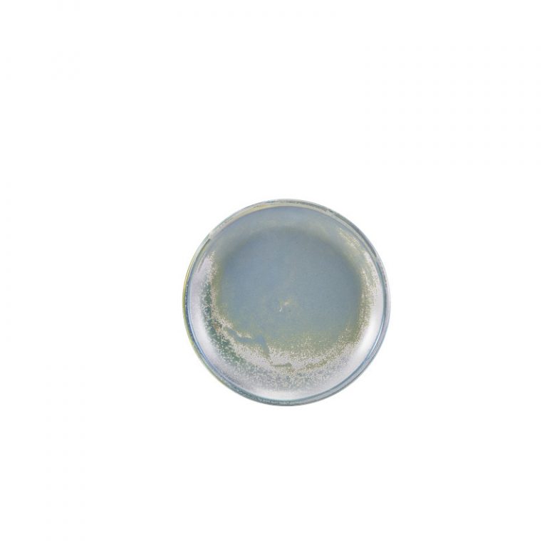 Terra Porcelain Seafoam Coupe Plate PSF19