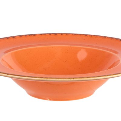 Coral Pasta Plate 30cm