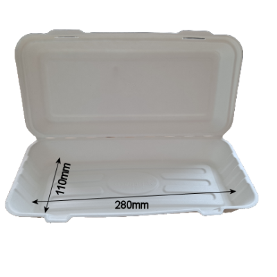 Large Bagasse Tray
