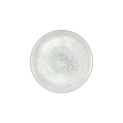 Salt Deep Coupe Plate 24cm