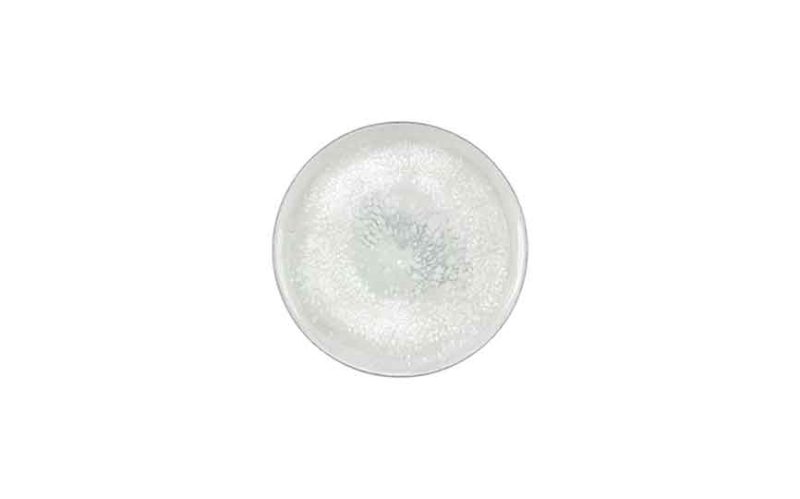 Salt Coupe Plate 17cm