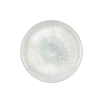 Salt Coupe Plate 20cm
