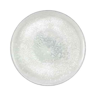 Salt Coupe Plate