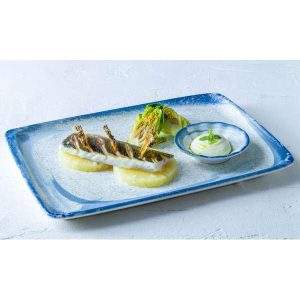 Harena Moove Rectangular Plate with food lifestyle image