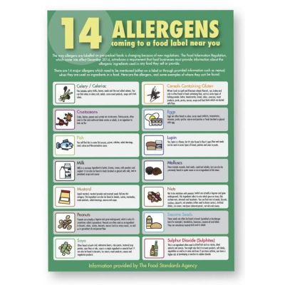 14 Allergies Sheet