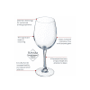 Features of the Cabernet Tulip Wine Glasses