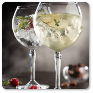Gin Glasses