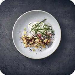 Antigo Barley Terra Coupe Plates Antigo Barley Terra Coupe Plates