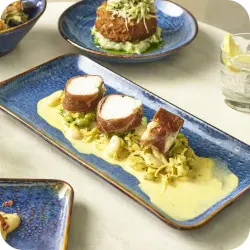 Aqua Blue Terra Rectangular Plates