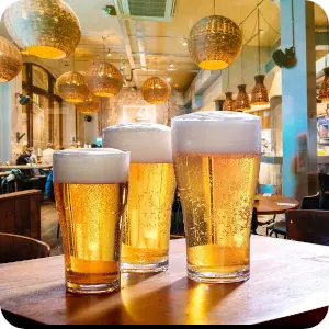 Disposable Plastic Glasses