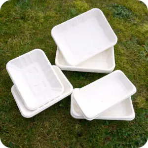 Bagasse Chip Trays