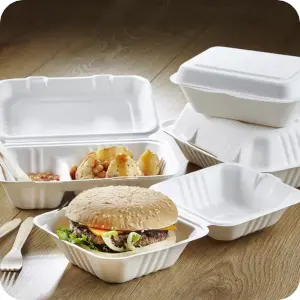 Bagasse Food Containers