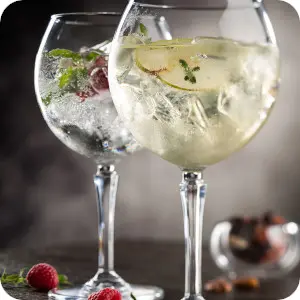 Gin Glasses Gin Glasses Category Image