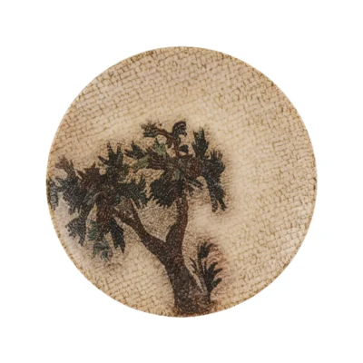 Eden Coupe Plate 23cm